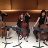 https://www.earlymusicamerica.org/wp-content/uploads/2015/01/Sonnambula-at-the-Metropolitan-wpcf_200x200.png https://www.earlymusicamerica.org/wp-content/uploads/2015/01/Sonnambula-at-the-Metropolitan-wpcf_200x200.png