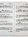 ‘The Czech Lute,’ a Baroque Masterpiece, Gets Filled In