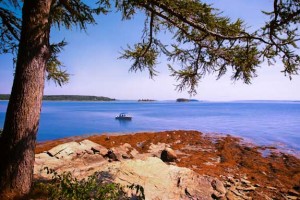 Mackworth Island - Falmouth, Maine