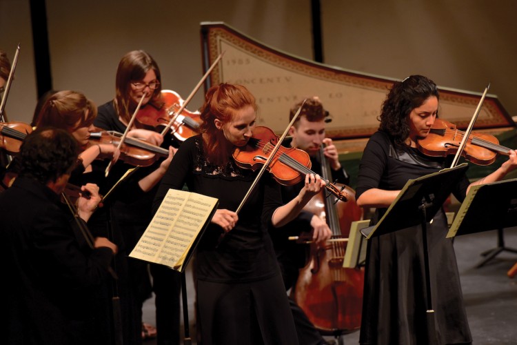 A group of violinists play intensely.