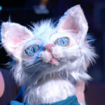 Virtual Review: Delightful 'The White Cat' fairy tale from Les Délices