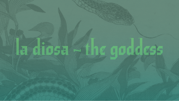 La Diosa in Cleveland Heights