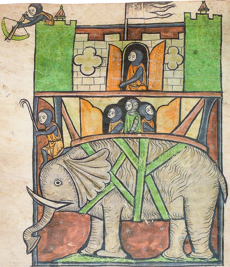 Creatures Great & Small