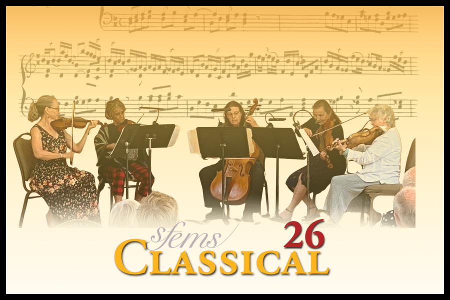 SFEMS Classical Workshop